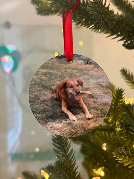 Double-sided personalised photo Christmas bauble featuring a different pet photo on each side