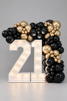 Light-Up Numbers & Balloon Garland Package
